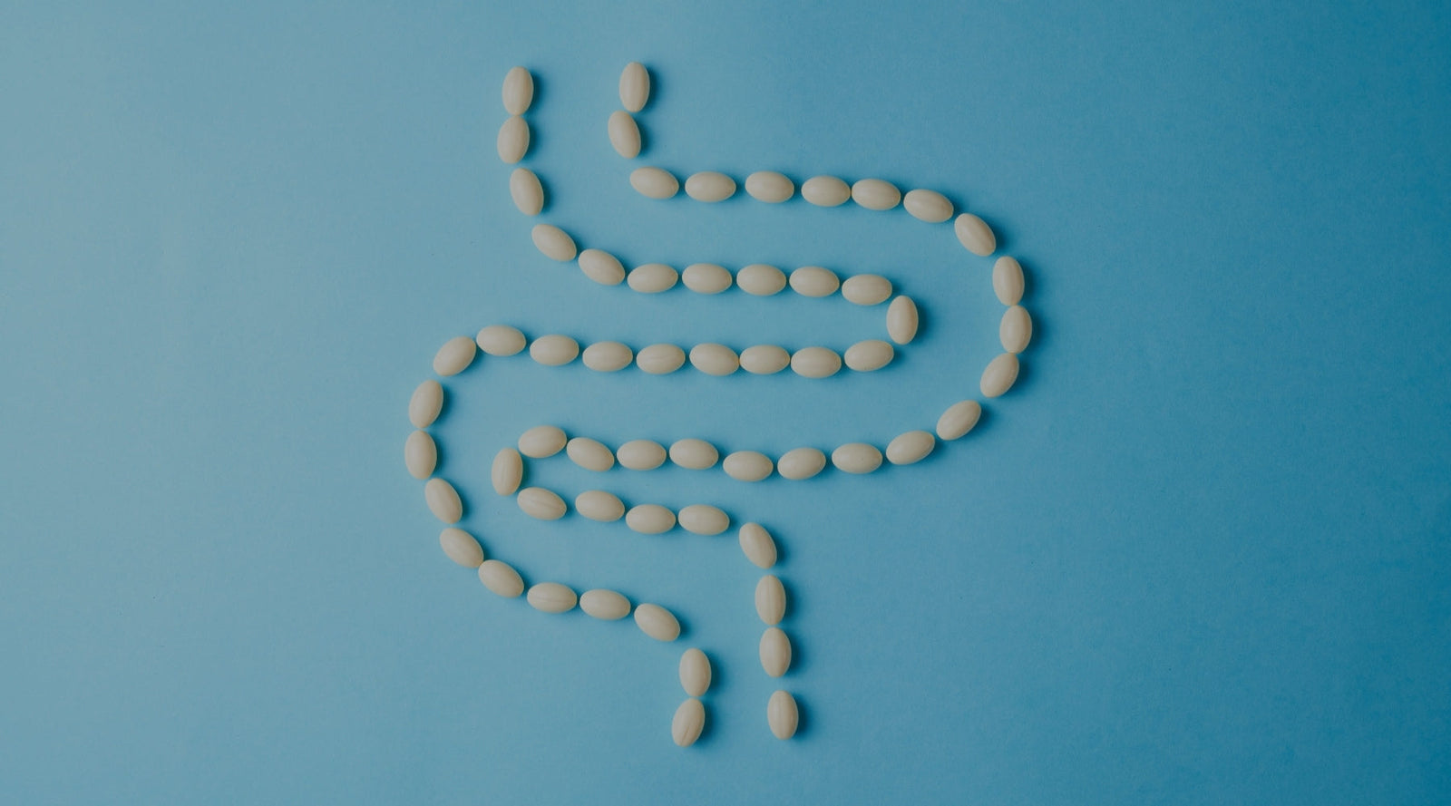 Probiotics After Antibiotics