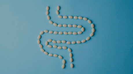 Probiotics After Antibiotics