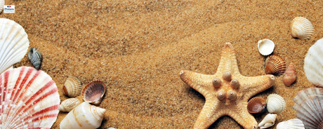 Be Sun Safe | Beach and sea shells