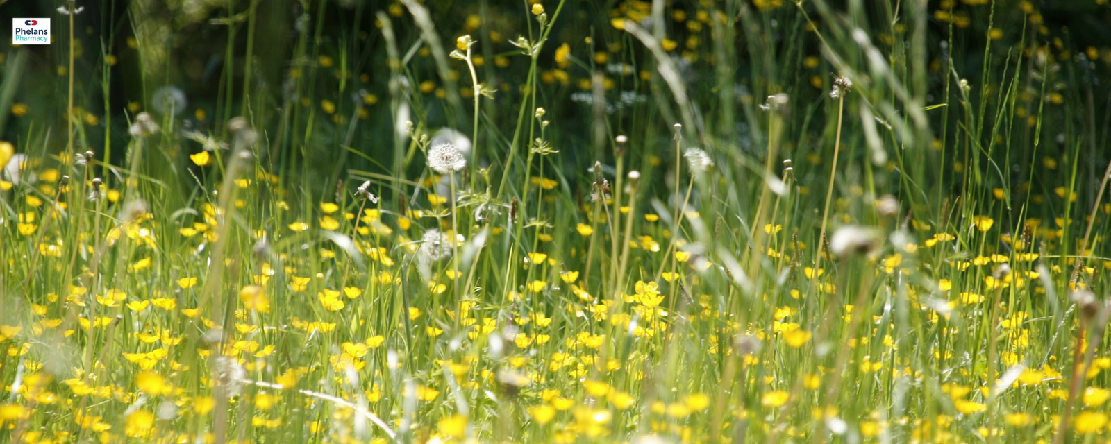 Tips For Beating Hay Fever This Summer