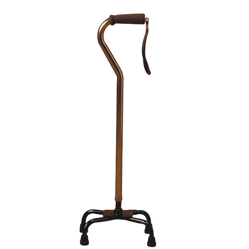 Bronze Quadruped Cane