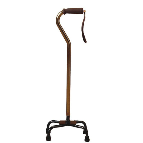 Bronze Quadruped Cane