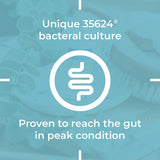 Alflorex (30 Capsules)