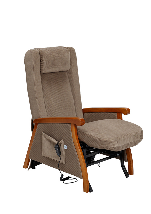 Scotty II Dual Motor Riser Recliner Chair Phelan's Pharmacy