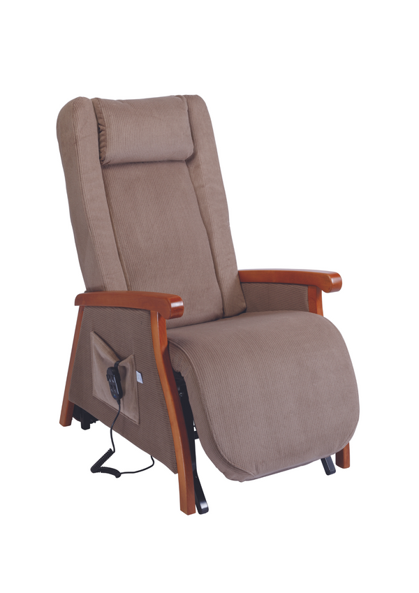 Scotty II Dual Motor Riser Recliner Chair Phelan's Pharmacy