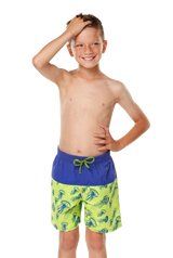 Boy's Board Swim Shorts