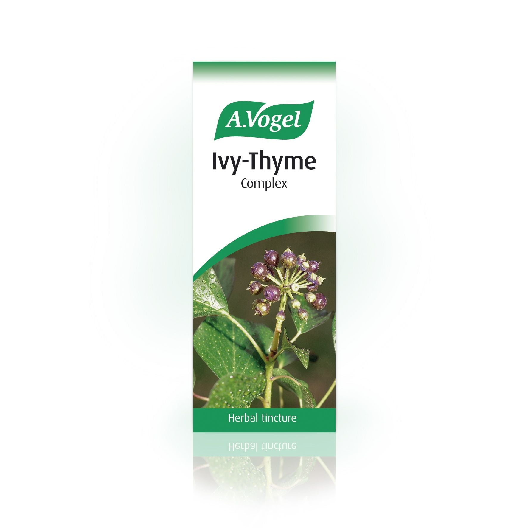 A. Vogel Ivy-Thyme Complex