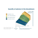 Pharma Nord BioActive Selenium & Zinc Tablet