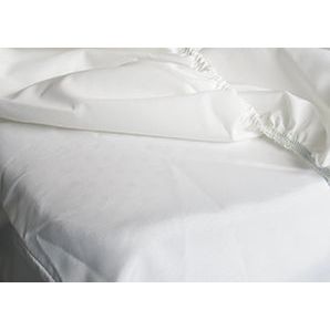 Astex Dust Mite Cot Duvet Guard